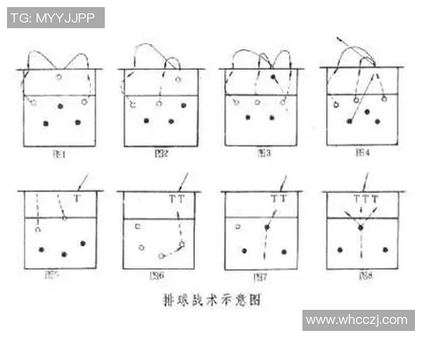 广州与杭州排球队的较量分析与战术探讨