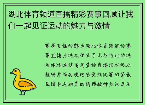湖北体育频道直播精彩赛事回顾让我们一起见证运动的魅力与激情